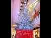 �饷�å���21���Ĥ��ŵ��Ȥä�����ߥ͡����������