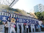 �����ɥ饴�󥺡�53ǯ�֤����ܰ��ǰ�����ѥ졼�ɤ����񳫺�
